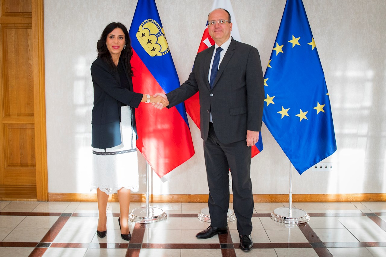 Treffen mit dem slowakischen Aussenminister 