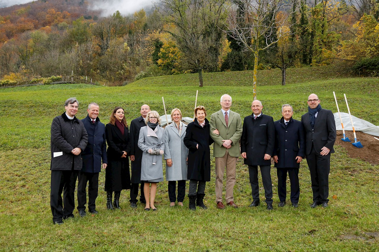 Ein Nussbaum zur Goldenen Hochzeit