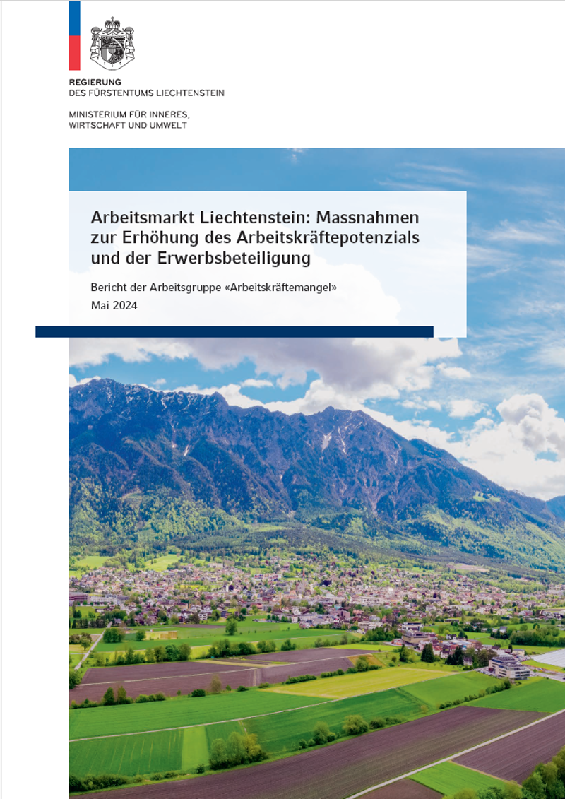 Coverbild von Arbeitsmarkt Liechtenstein: Massnahmen zur Erhöhung des Arbeitskräftepotenzials und der Erwerbsbeteiligung