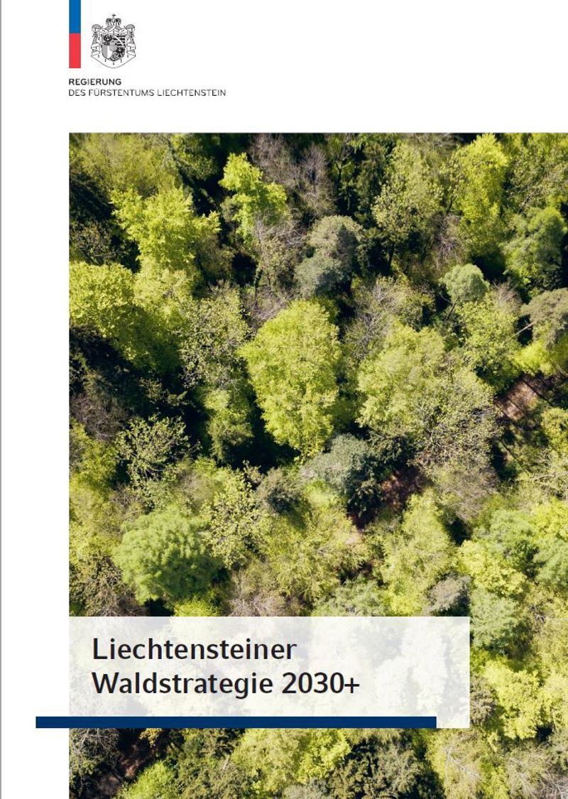 Coverbild von Waldstrategie 2030+
